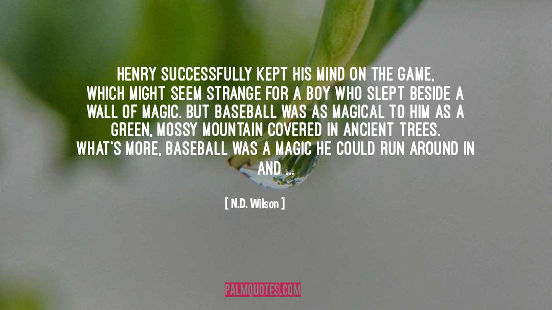 Game Boy Advance quotes by N.D. Wilson