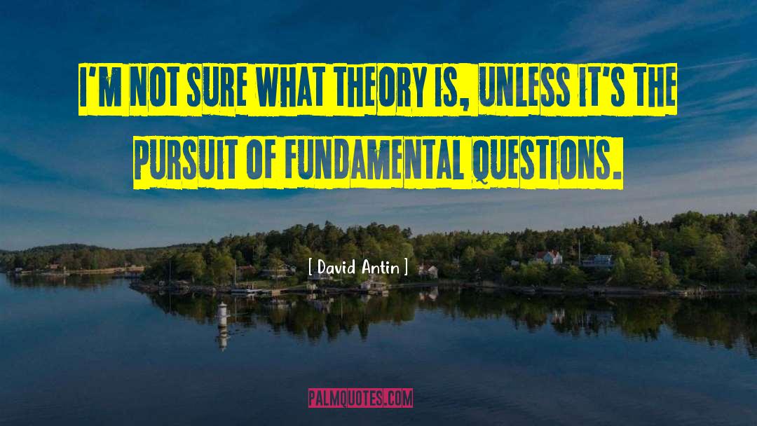 Game Theory quotes by David Antin