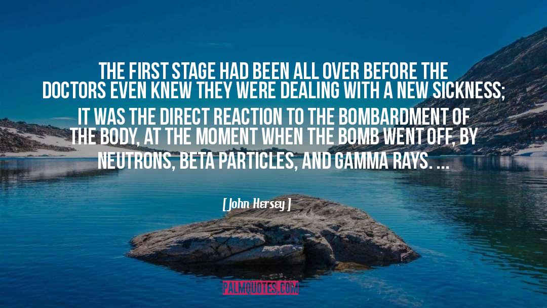Gamma Rays quotes by John Hersey