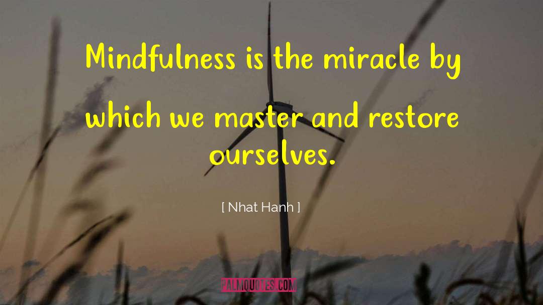 Gamzrdeli Master quotes by Nhat Hanh