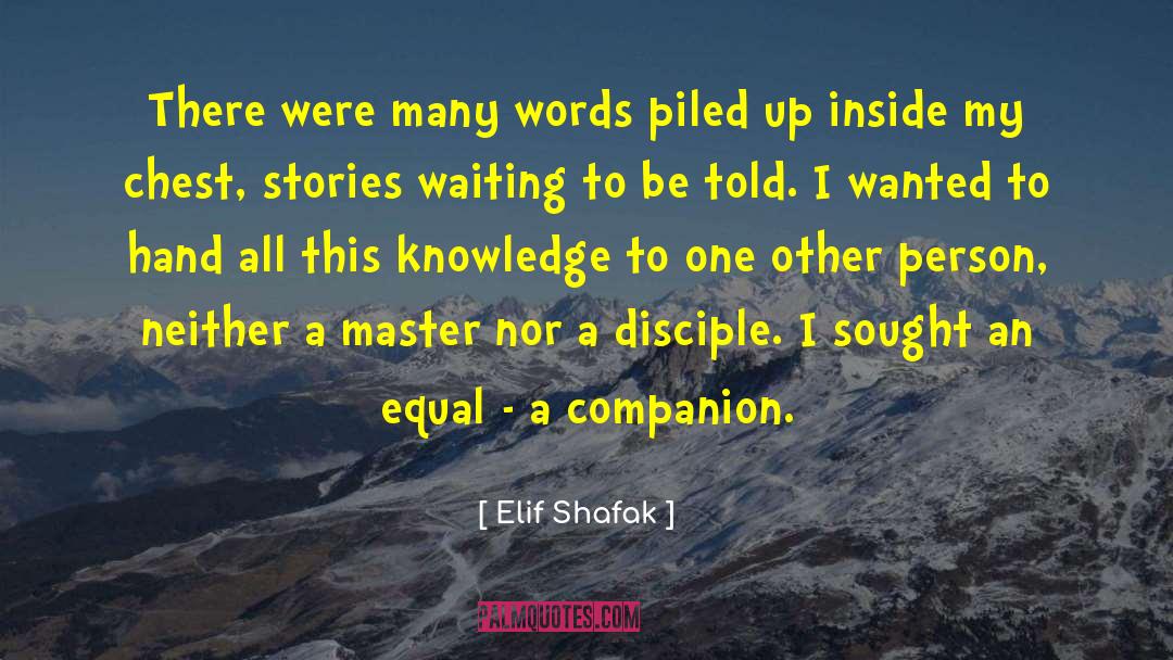 Gamzrdeli Master quotes by Elif Shafak