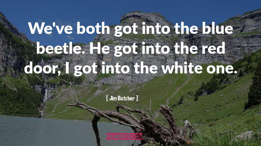 Gandalf The White quotes by Jim Butcher