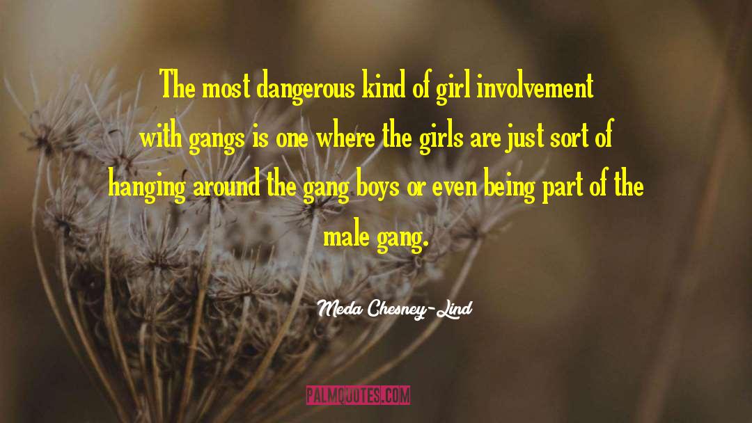 Gang Addiction quotes by Meda Chesney-Lind