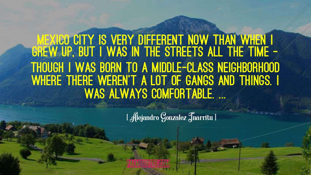 Gangs quotes by Alejandro Gonzalez Inarritu