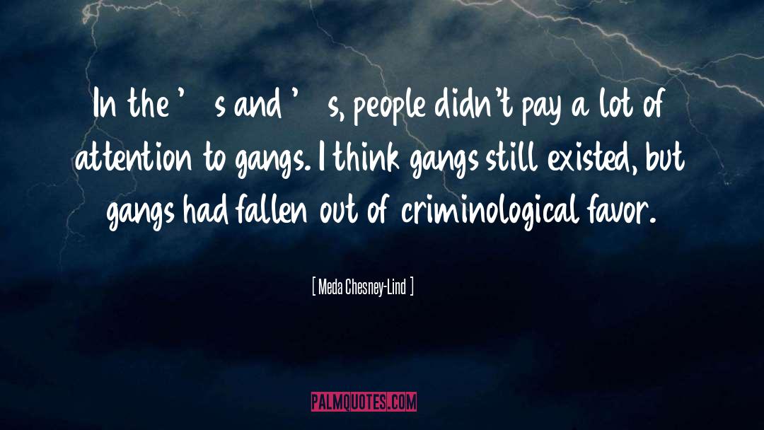 Gangs quotes by Meda Chesney-Lind