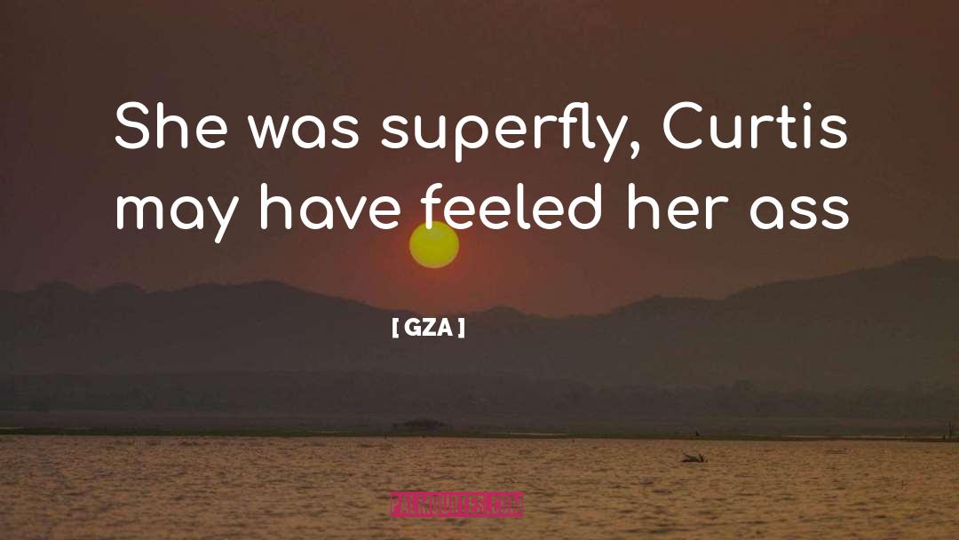 Gangsta Rap quotes by GZA