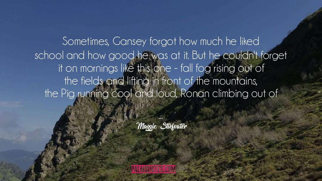 Gansey quotes by Maggie Stiefvater