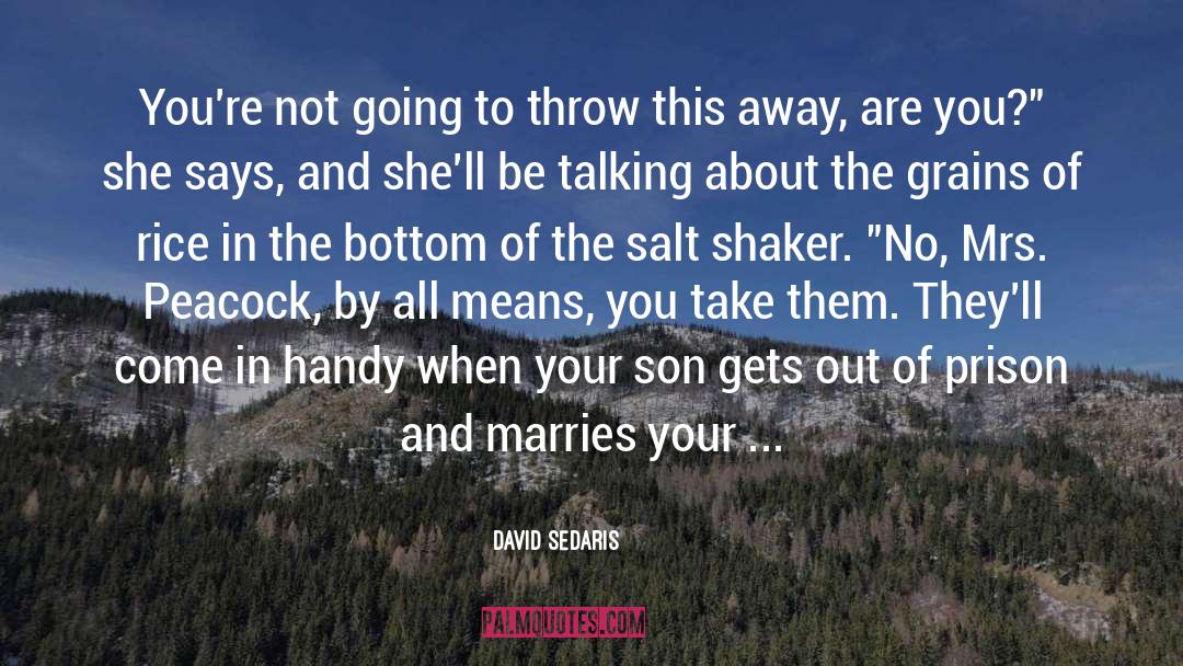 Ganza Shaker quotes by David Sedaris