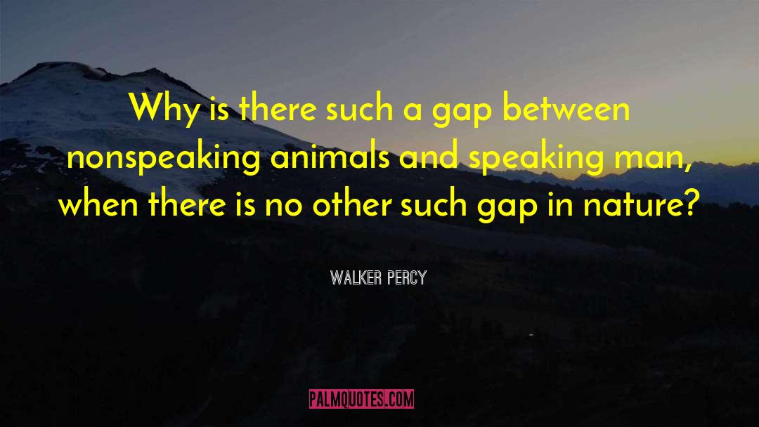 Gap Armour quotes by Walker Percy