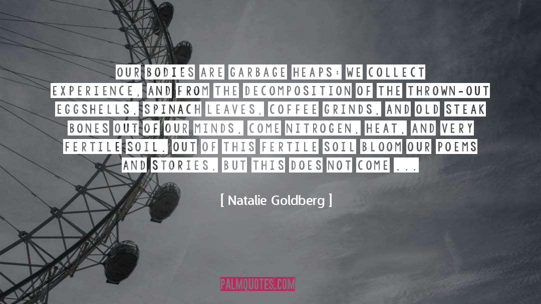 Garbage Disposal quotes by Natalie Goldberg