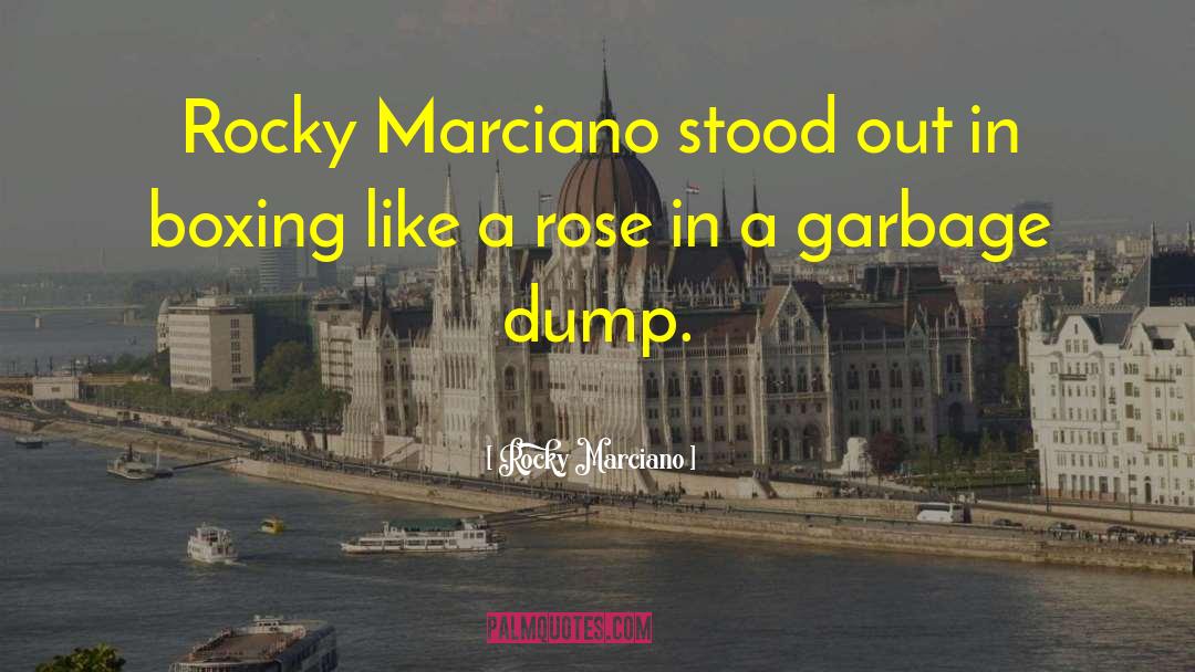 Garbage Disposal quotes by Rocky Marciano