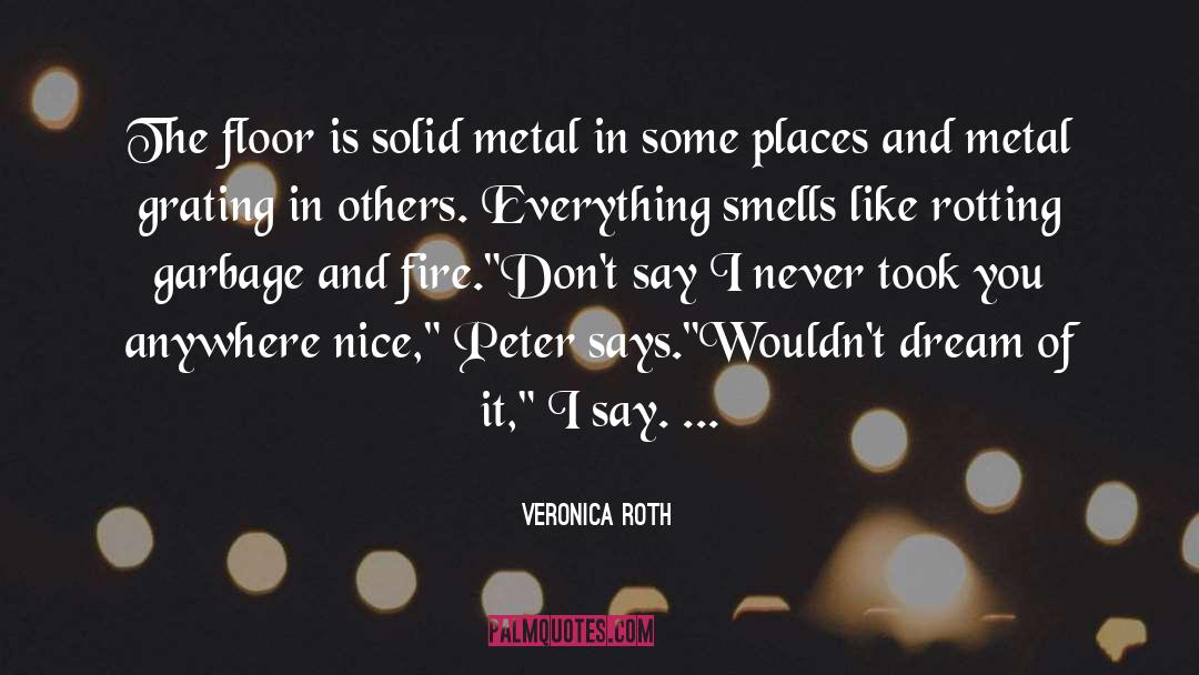 Garbage Trucks quotes by Veronica Roth