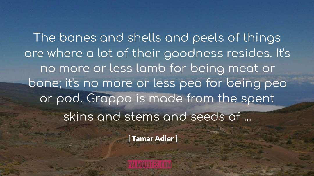 Garbling Herbs quotes by Tamar Adler