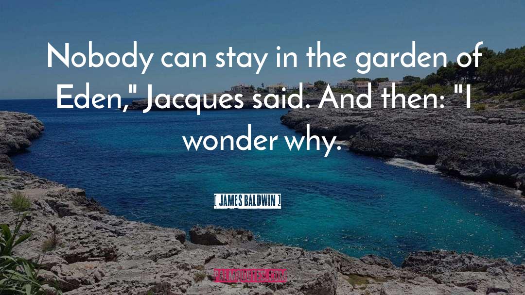 Garden Creator quotes by James Baldwin
