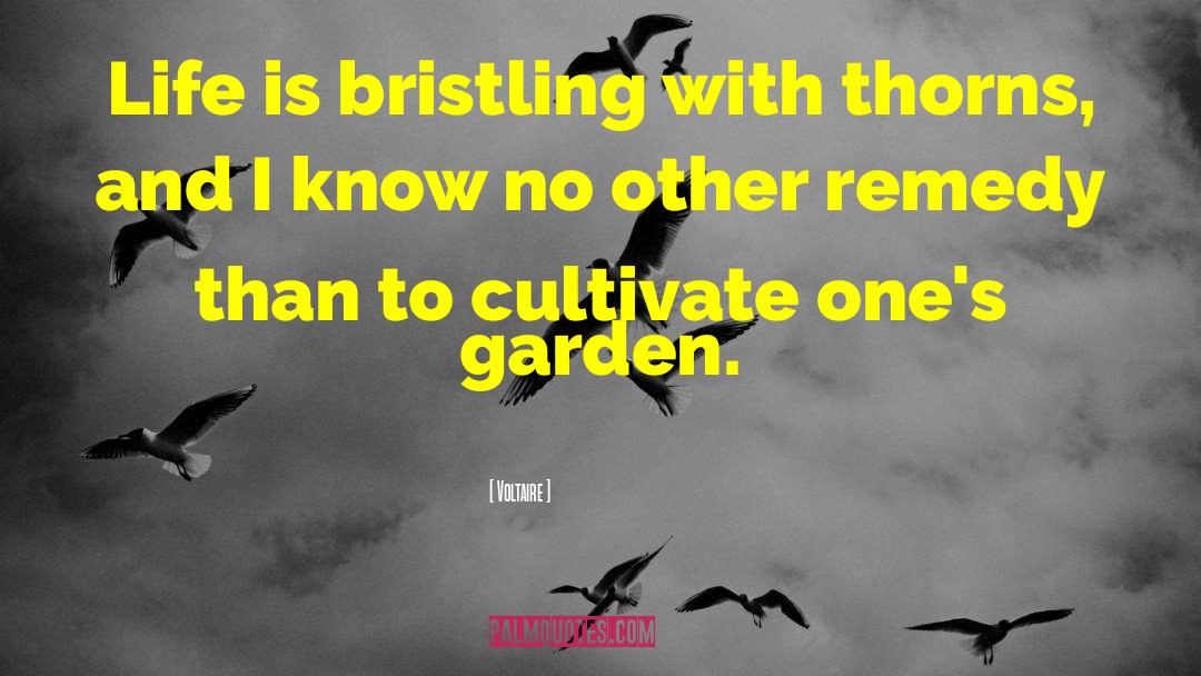 Garden Design quotes by Voltaire