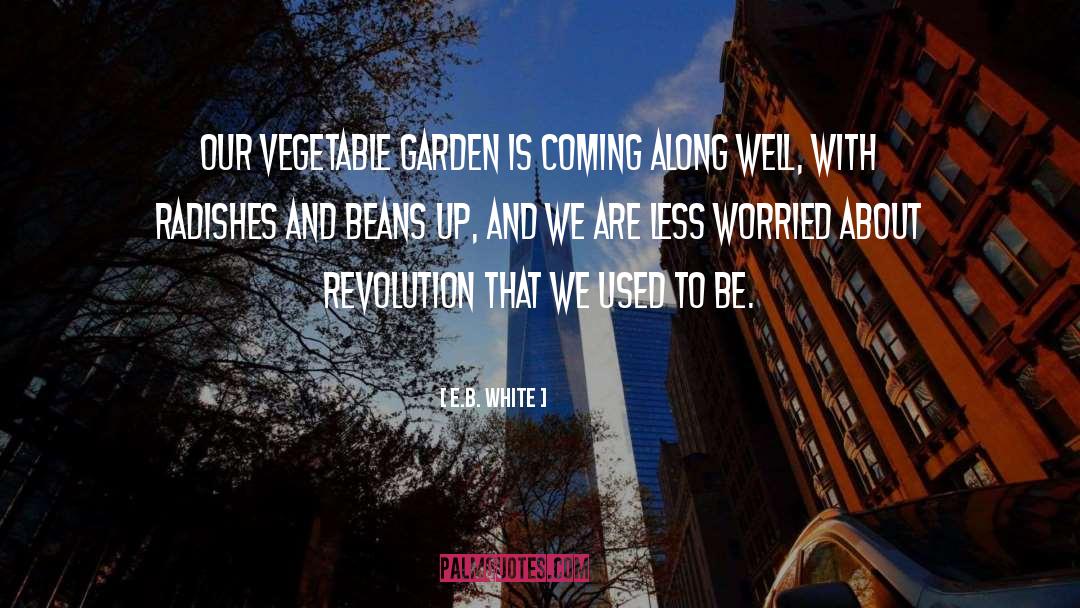 Garden Diary quotes by E.B. White