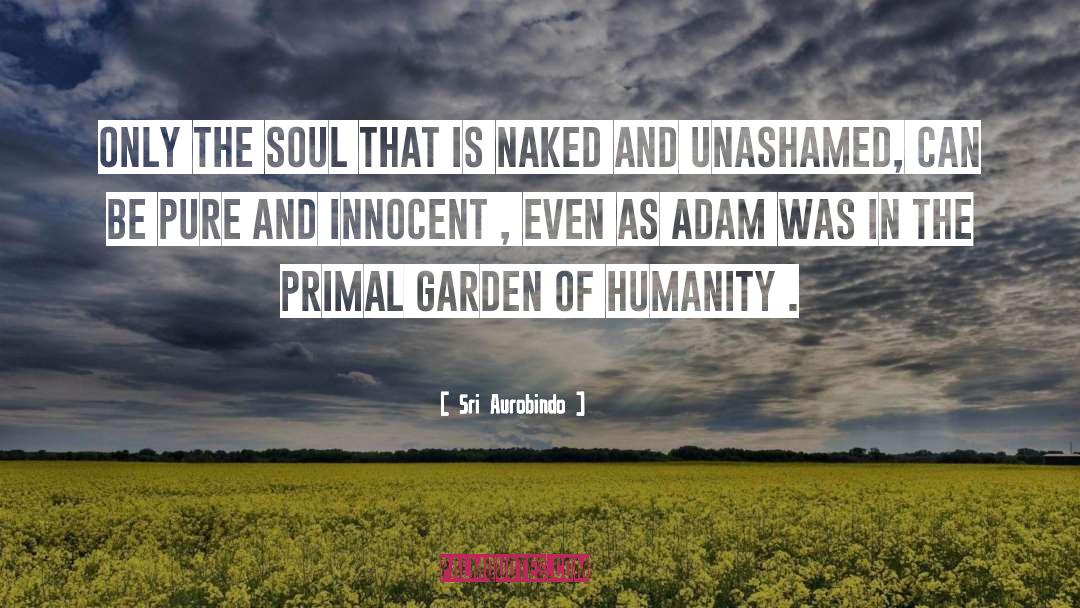 Garden Of Humanity quotes by Sri Aurobindo