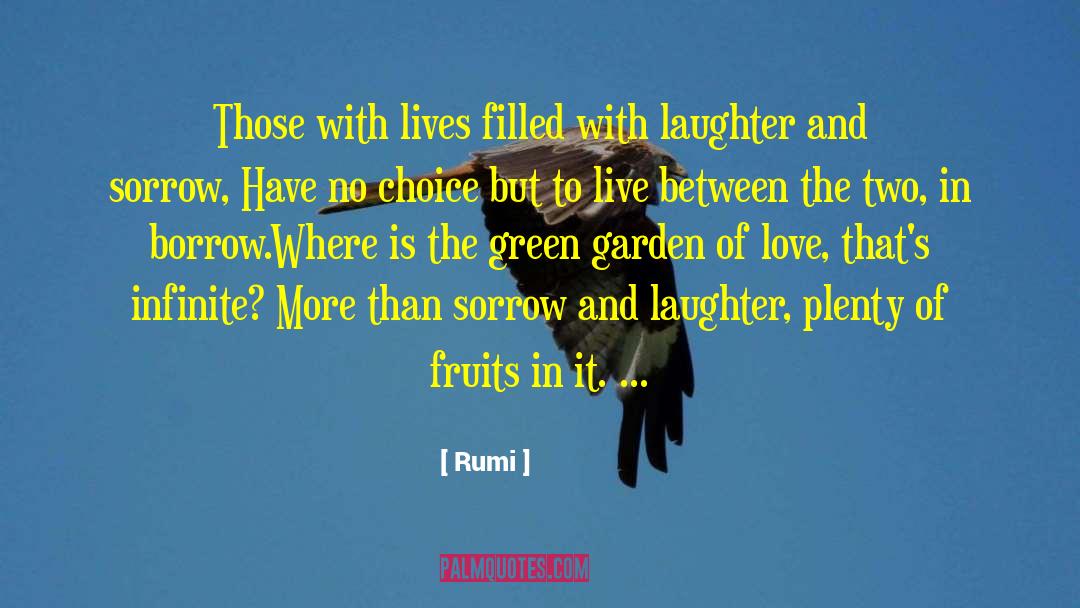 Garden Of Love quotes by Rumi