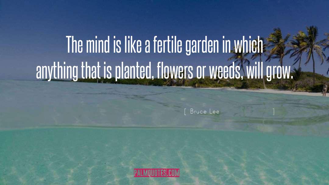 Garden Wisdom quotes by Bruce Lee