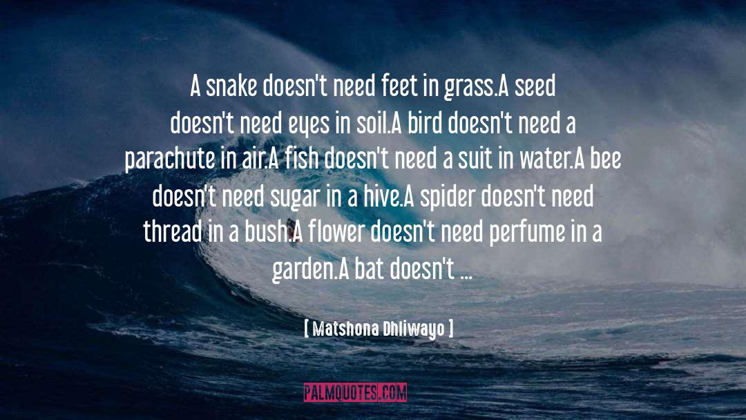 Garden Wisdom quotes by Matshona Dhliwayo