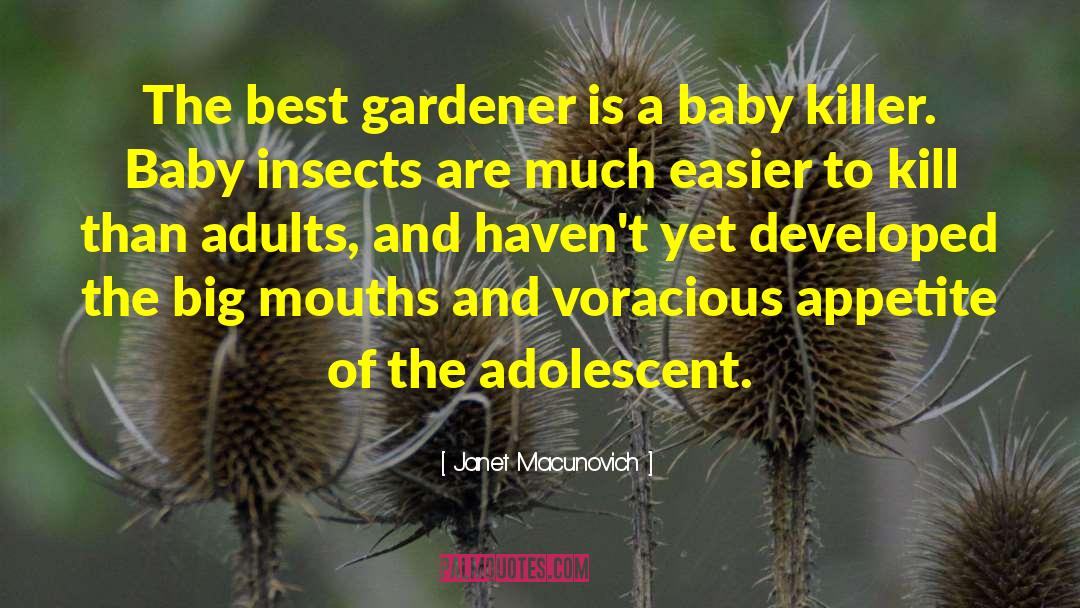 Gardener Of Thoughts quotes by Janet Macunovich