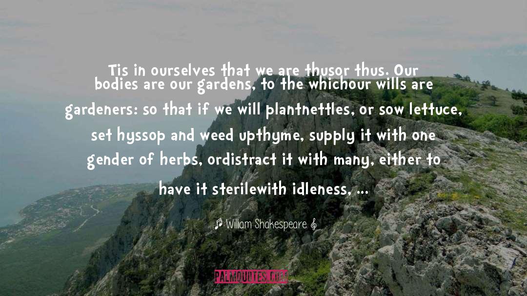 Gardener quotes by William Shakespeare