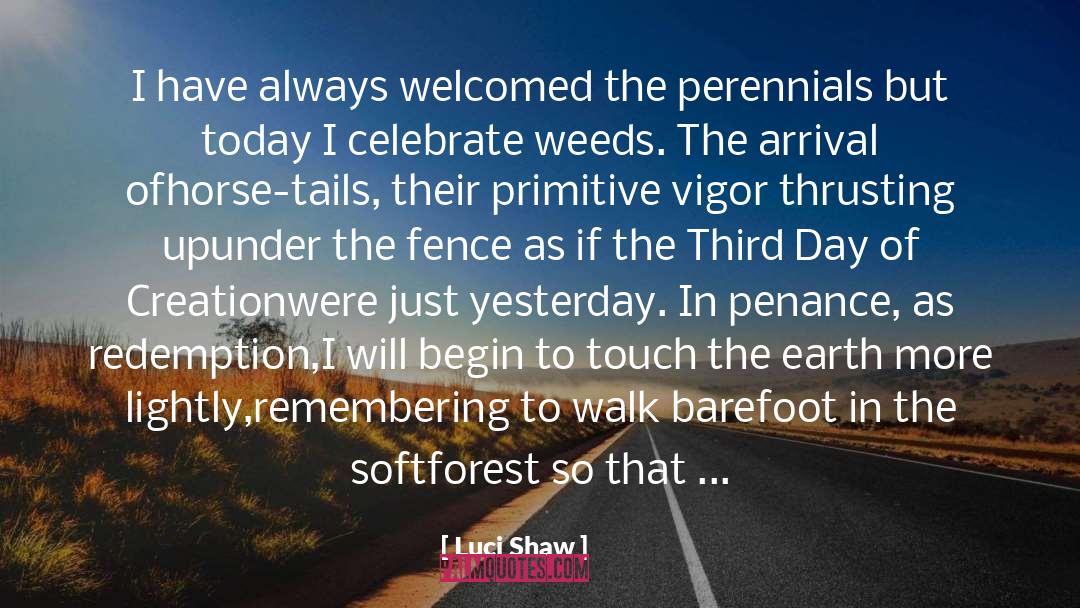 Gardeners quotes by Luci Shaw