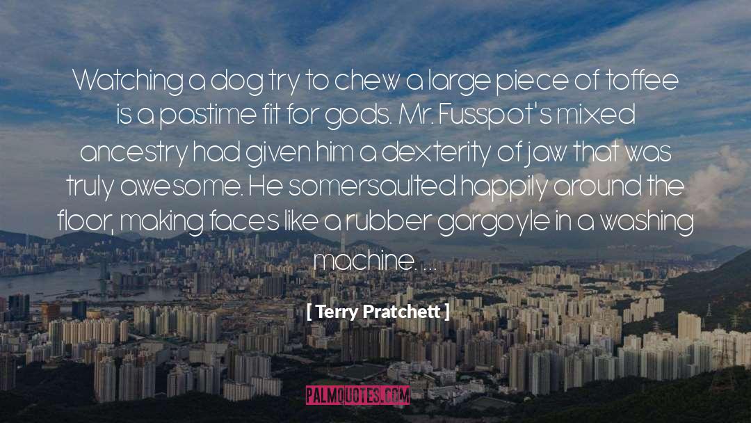Gargoyle quotes by Terry Pratchett