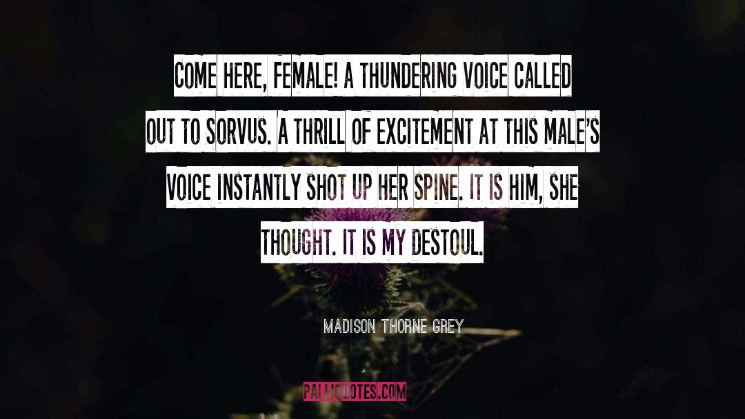 Gargoyle Romance quotes by Madison Thorne Grey