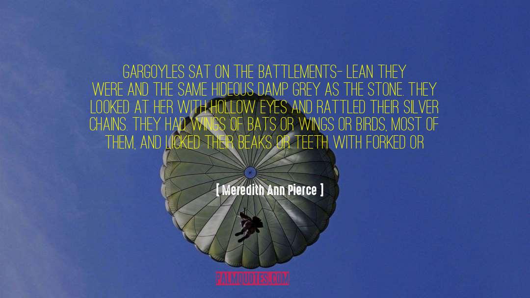 Gargoyles quotes by Meredith Ann Pierce