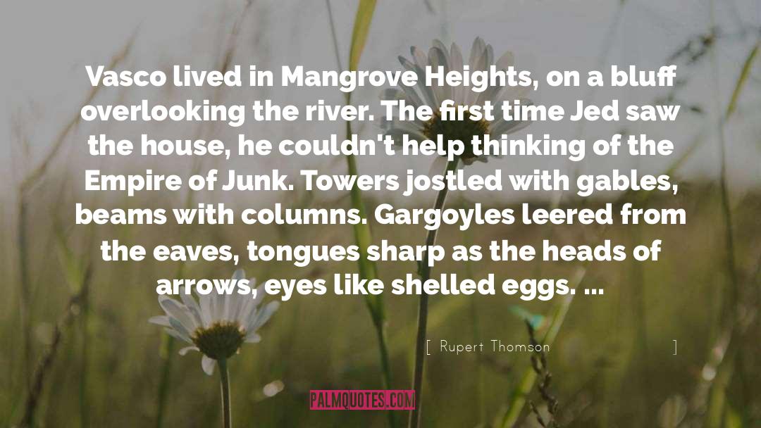 Gargoyles quotes by Rupert Thomson