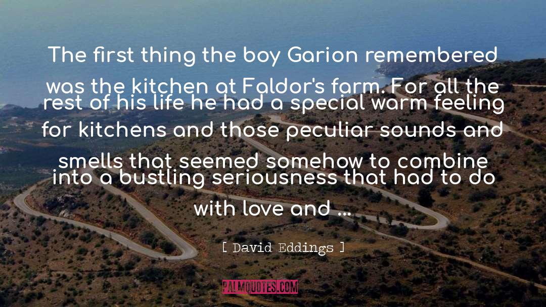 Garion quotes by David Eddings
