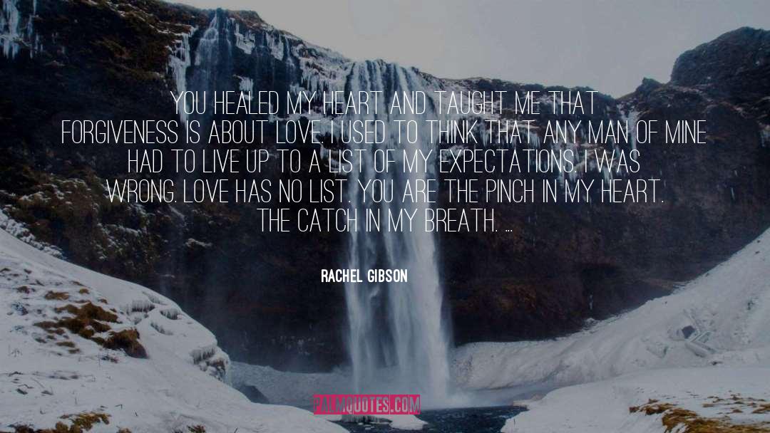 Garrett Gibson quotes by Rachel Gibson