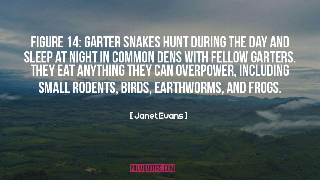 Garters quotes by Janet Evans