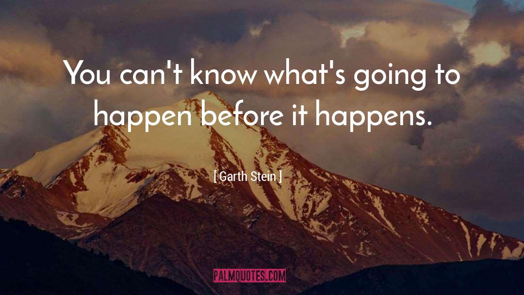 Garth Stein quotes by Garth Stein