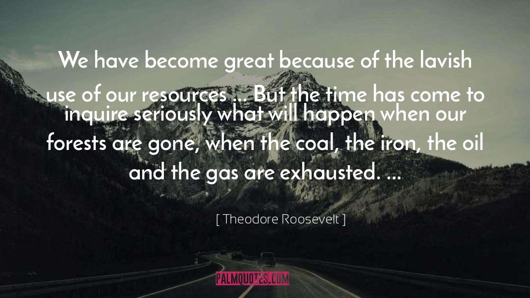 Gas Masks quotes by Theodore Roosevelt