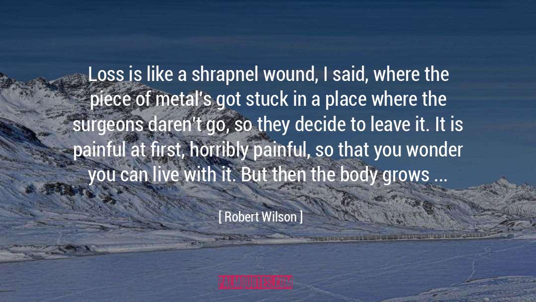 Gashes Wound quotes by Robert Wilson