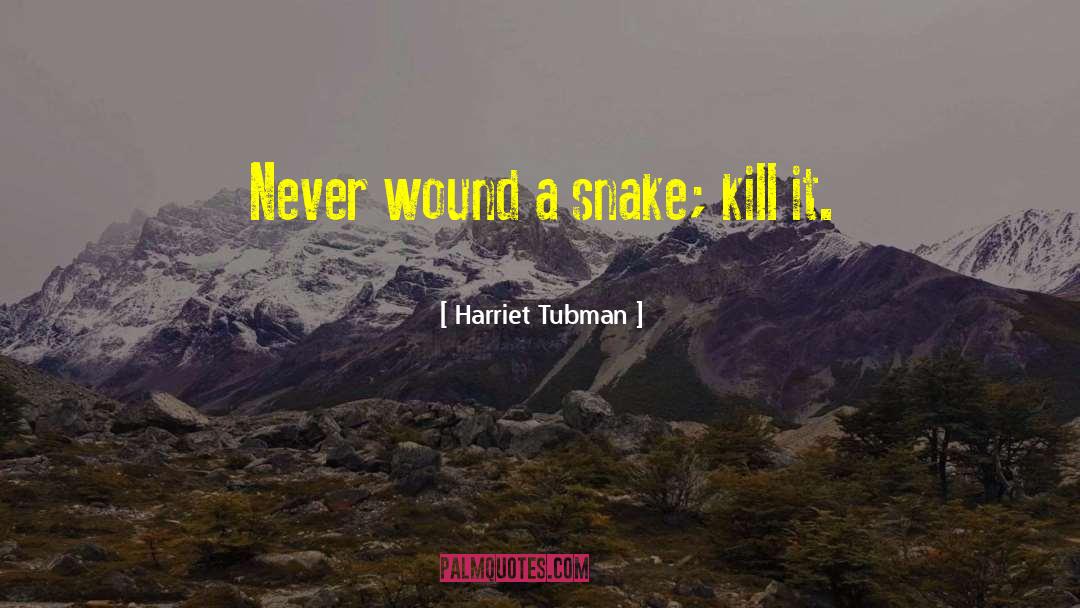 Gashes Wound quotes by Harriet Tubman