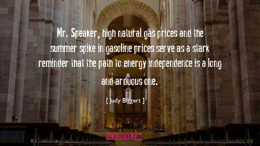 Gasoline Prices quotes by Judy Biggert