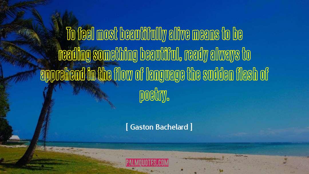 Gaston Leroux quotes by Gaston Bachelard