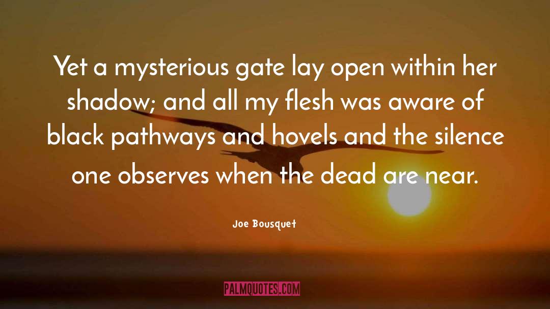 Gate 5 quotes by Joe Bousquet