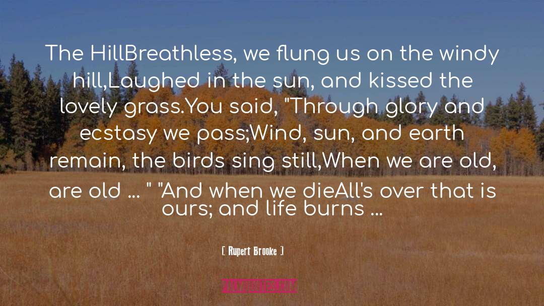 Gathering Darkness quotes by Rupert Brooke