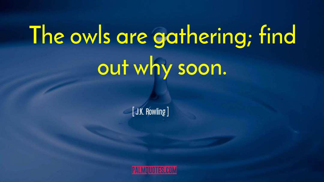 Gathering quotes by J.K. Rowling