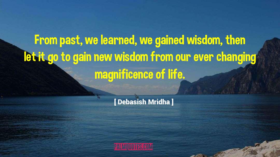 Gatsby Past Life quotes by Debasish Mridha