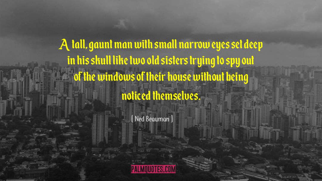 Gaunt quotes by Ned Beauman