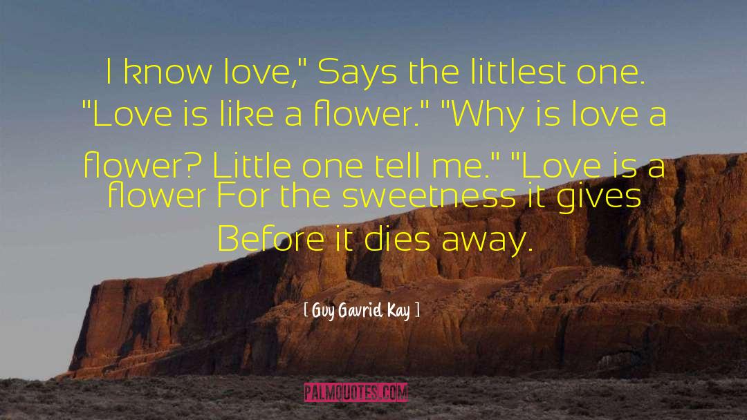 Gavriel quotes by Guy Gavriel Kay