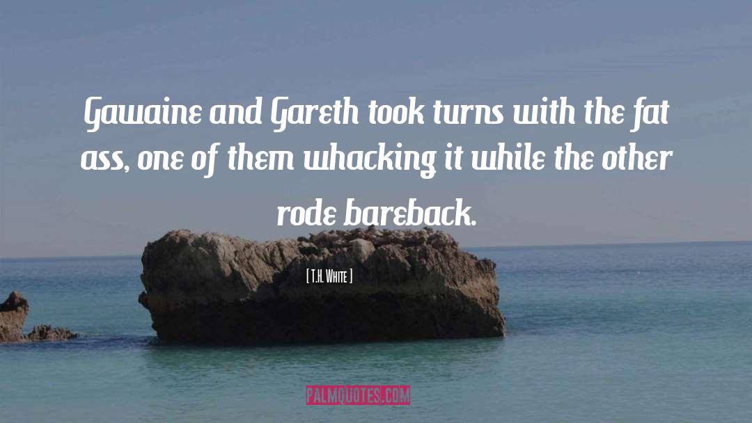 Gawaine quotes by T.H. White