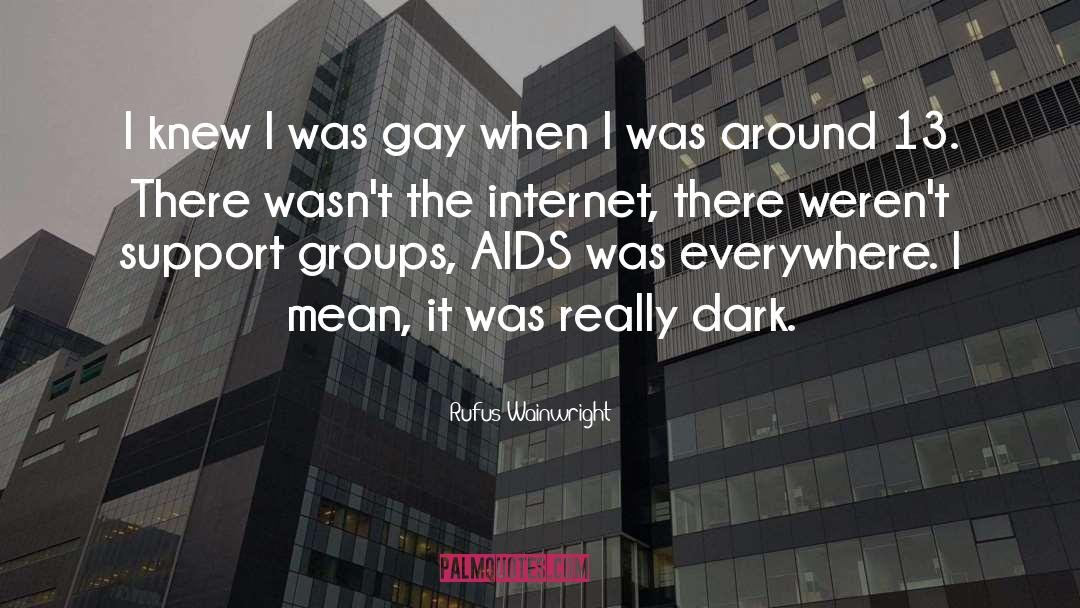 Gay Activism quotes by Rufus Wainwright