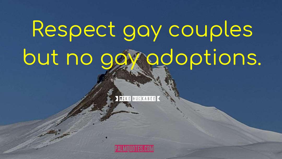 Gay Adoption quotes by Mike Huckabee