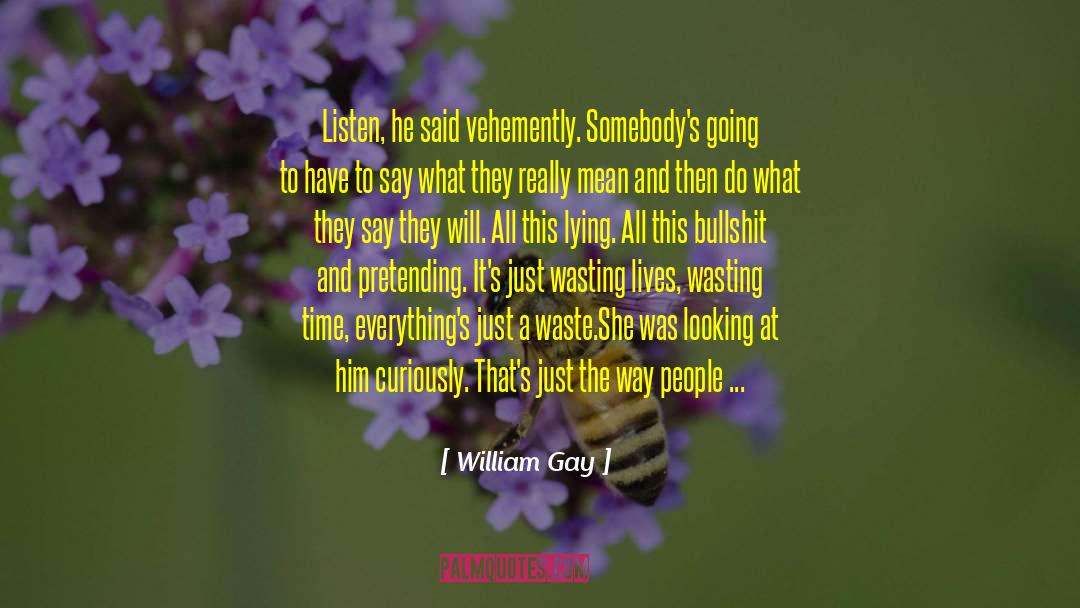 Gay Adoption quotes by William Gay